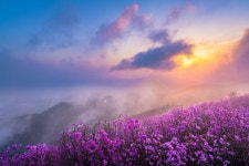 천주산 관광 정보와 주변 관광 명소 및 근처 맛집 여행 정보