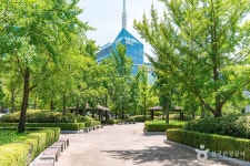 一山湖水公園（일산호수공원） - 観光 - 韓国旅行・観光情報