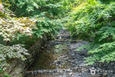 화장골 계곡 관광 정보와 주변 관광 명소 및 근처 맛집 여행 정보