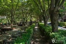 화원자연휴양림 관광 정보와 주변 관광 명소 및 근처 맛집 여행 정보