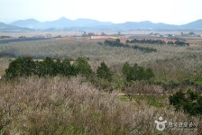 Nokjin Observatory (Myeongnyang Battle Field) (녹진전망대-명량대첩지) - Sightseeing - Korea travel and tourism information