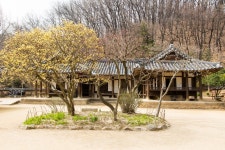 통합검색결과 | 대한민국 구석구석