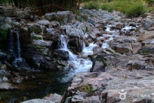 숲나들e - 여행정보 |