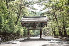 Daewonsagyegok Valley (대원사계곡) - Sightseeing - Korea travel and tourism information