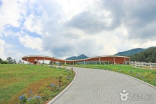 가평양떼목장카페 | NOL 인터파크투어 프리야 여행정보 [대한민국>경기도 가평군] 여기 가고싶어요! [가평양떼목장카페] 가평양떼목장카페는... 