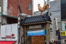 춘천 명동 닭갈비 골목 관광 정보와 주변 관광 명소 및 근처 맛집 여행 정보