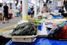 동해어시장 쇼핑 정보와 주변 관광 명소 및 근처 맛집 여행 정보