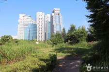 정부대전청사 자연마당 관광 정보와 주변 관광 명소 및 근처 맛집 여행 정보