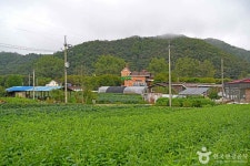 복주머니마을 관광 정보와 주변 관광 명소 및 근처 맛집 여행 정보