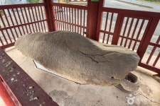 영천보성리암각화 - 주변 여행 및 근처 관광 명소 - 국내 여행 정보와 관광 명소 정보