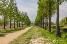 삼락생태공원 관광 정보와 주변 관광 명소 및 근처 맛집 여행 정보