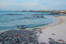 세화리 농어촌체험휴양마을 관광 정보와 주변 관광 명소 및 근처 맛집 여행 정보