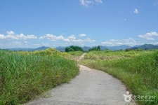 술뫼생태공원 관광 정보와 주변 관광 명소 및 근처 맛집 여행 정보