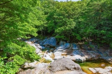대원사계곡길 레저스포츠 정보와 주변 관광 명소 및 근처 맛집 여행 정보