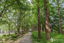 양재천 근린공원 관광 정보와 주변 관광 명소 및 근처 맛집 여행 정보