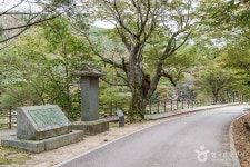 화양서원 묘정비 관광 정보와 주변 관광 명소 및 근처 맛집 여행 정보