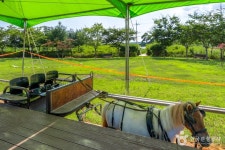 말문화체험관 관광 정보와 주변 관광 명소 및 근처 맛집 여행 정보