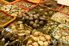 Sección de Conchas Marinas del Mercado Jagalchi (부산 자갈치시장 전복부) - Compras - los viajes e información turística de... 