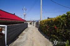 서울 우리들 도보여행 | 주민과 동고동락할 수 있는 섬,무안 탄도 - Daum 카페 주민과 동고동락할 수 있는 섬,무안 탄도