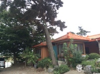 인평장어메기집 음식점 정보와 주변 관광 명소 및 근처 맛집 여행 정보