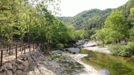 월성계곡산장 - 주변 여행 및 근처 관광 명소 - 국내 여행 정보와 관광 명소 정보