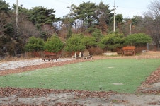 푸른솔 농원 야영장 레저스포츠 정보와 주변 관광 명소 및 근처 맛집 여행 정보