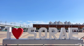 호텔나비야 - 주변 여행 및 근처 관광 명소 - 국내 여행 정보와 관광 명소 정보