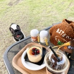펫스토리카페&유치원호텔링 음식점 정보와 주변 관광 명소 및 근처 맛집 여행 정보