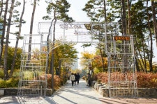 松坡ナル公園（石村湖）（송파나루공원（석촌호수）） - 観光 - 韓国旅行・観光情報