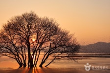 예당저수지(예당관광지) - 주변 여행 및 근처 관광 명소 - 국내 여행 정보와 관광 명소 정보