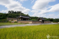 숲나들e - 여행정보 |