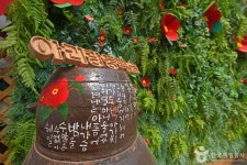 아리랜드 관광 정보와 주변 관광 명소 및 근처 맛집 여행 정보