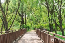 강서봄빛페스타 - 주변 여행 및 근처 관광 명소 - 국내 여행 정보와 관광 명소 정보