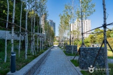 용인중앙공원 관광 정보와 주변 관광 명소 및 근처 맛집 여행 정보