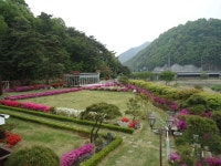 강이있는풍경펜션 숙박 정보와 주변 관광 명소 및 근처 맛집 여행 정보