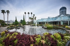 Yeomiji Botanic Garden (여미지식물원) - Sightseeing - Korea travel and tourism information