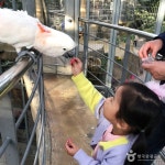 엘레버드korea | Gyeongju Bird Park (경주 버드파크) - Sightseeing - Korea travel and tourism information