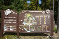 Gyeongbuk Millennium Forest Garden (경북천년숲정원) - Sightseeing - Korea travel and tourism information