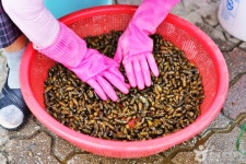 괴산 올갱이국 거리 관광 정보와 주변 관광 명소 및 근처 맛집 여행 정보