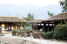 [하동 박경리 토지길 1코스] 섬진강 평사리공원~화개장터 레저스포츠 정보와 주변 관광 명소 및 근처 맛집 여행 정보