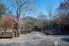 산장관광지 관광 정보와 주변 관광 명소 및 근처 맛집 여행 정보