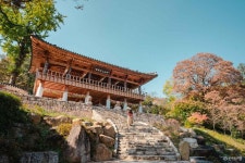 대원사(산청) 관광 정보와 주변 관광 명소 및 근처 맛집 여행 정보