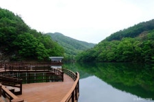 금학생태공원 관광 정보와 주변 관광 명소 및 근처 맛집 여행 정보