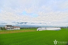 수한마을 관광 정보와 주변 관광 명소 및 근처 맛집 여행 정보