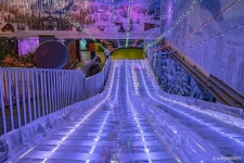 수목원테마파크(아이스뮤지엄) 관광 정보와 주변 관광 명소 및 근처 맛집 여행 정보