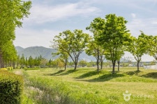 삼락생태공원 관광 정보와 주변 관광 명소 및 근처 맛집 여행 정보