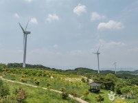 경주 풍력발전(바람의언덕) 관광 정보와 주변 관광 명소 및 근처 맛집 여행 정보