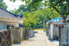 평촌마을 관광 정보와 주변 관광 명소 및 근처 맛집 여행 정보