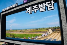 제주밭담축제 최신 축제 공연 행사 정보와 주변 관광 명소 및 근처 맛집 여행 정보