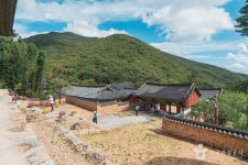 풍년오리박사 - 주변 여행 및 근처 관광 명소 - 국내 여행 정보와 관광 명소 정보